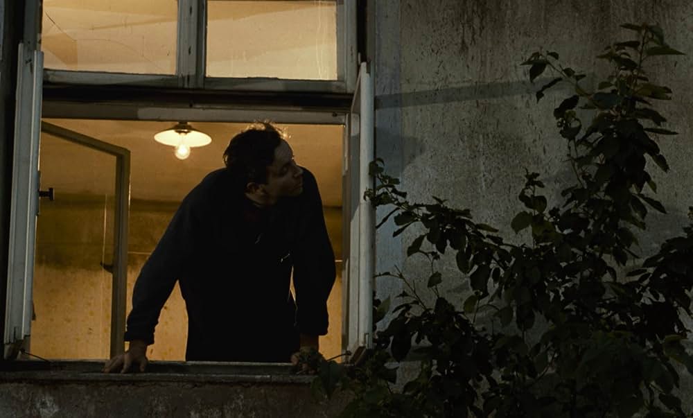 つながれたヒバリの画像