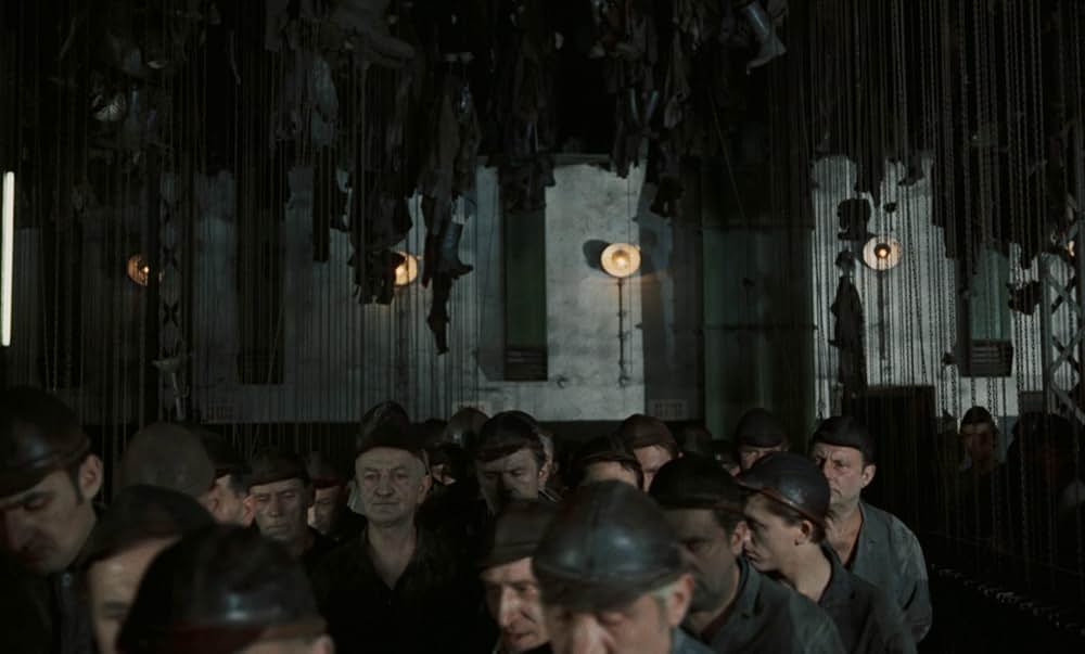 つながれたヒバリの画像