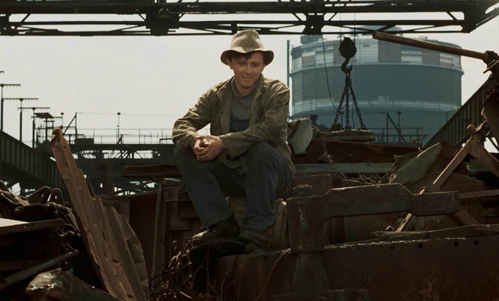 つながれたヒバリの画像