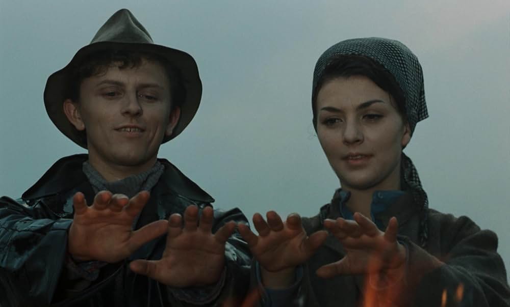 つながれたヒバリの画像