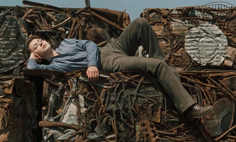 つながれたヒバリの画像