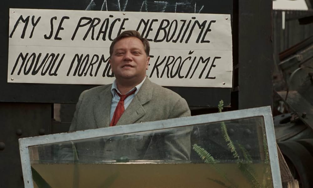 つながれたヒバリの画像