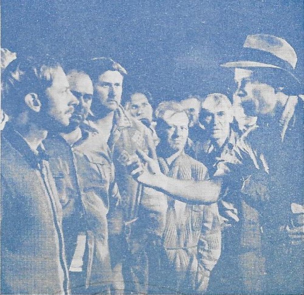 麦秋（むぎのあき）の画像