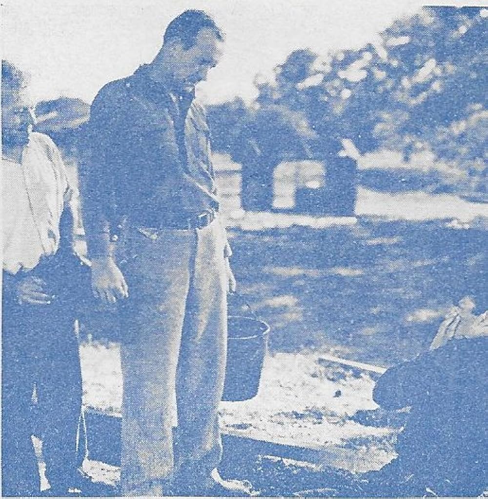 麦秋（むぎのあき）の画像