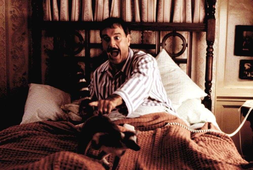 危険な動物たちの画像