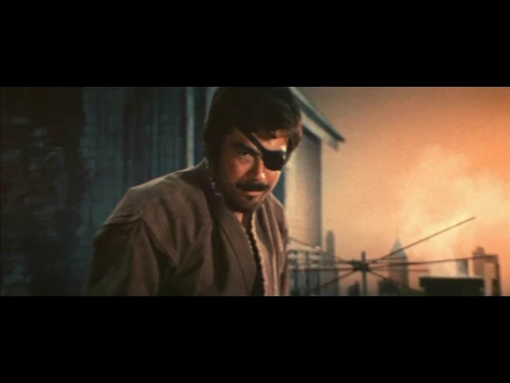 必殺女拳士の画像