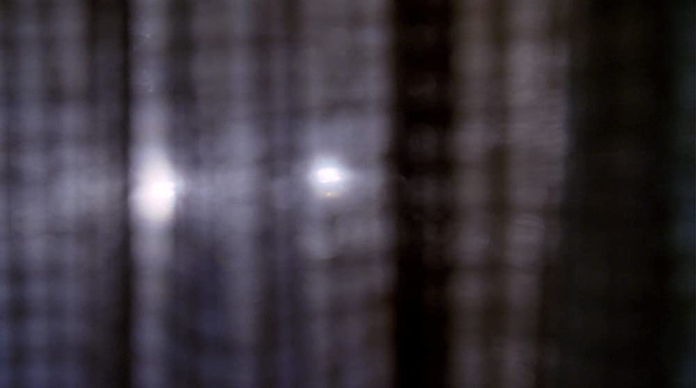 BUG／バグの画像