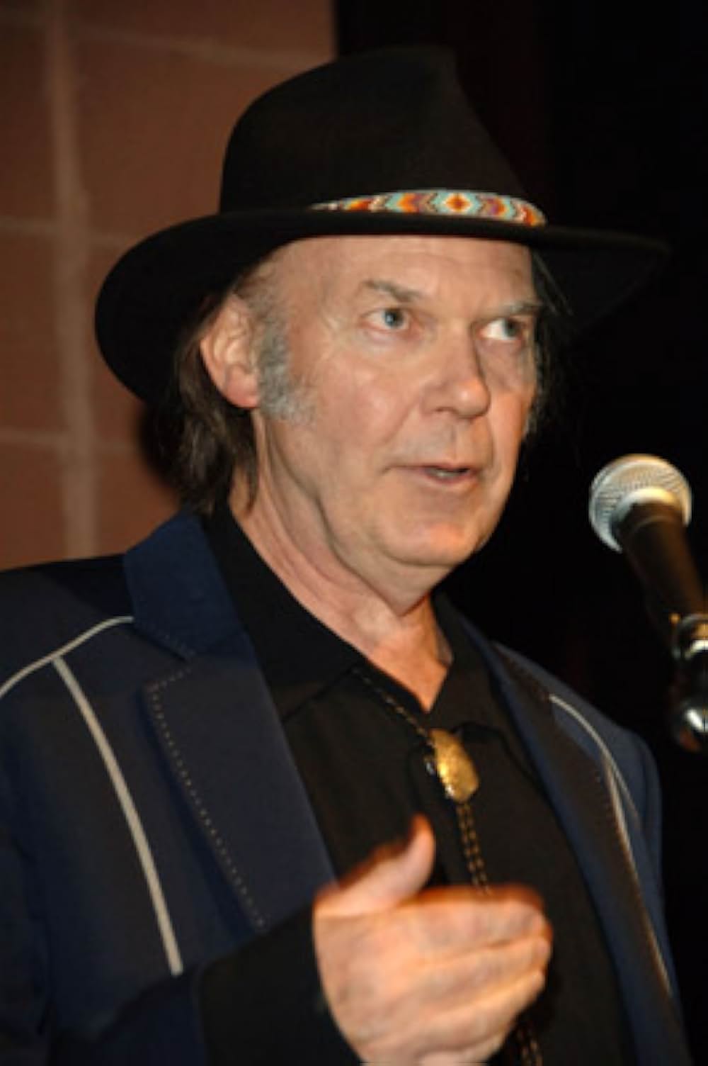 ニール・ヤング／ハート・オブ・ゴールド 〜孤独の旅路〜の画像