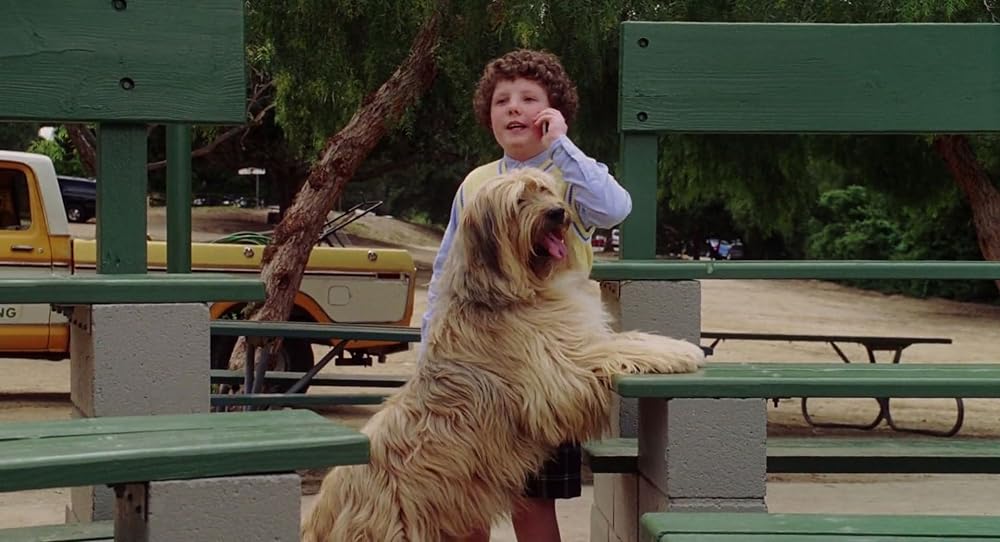 がんばれ！ベンチウォーマーズの画像