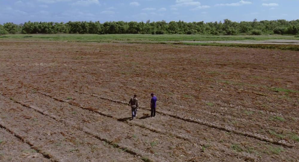 がんばれ！ベンチウォーマーズの画像