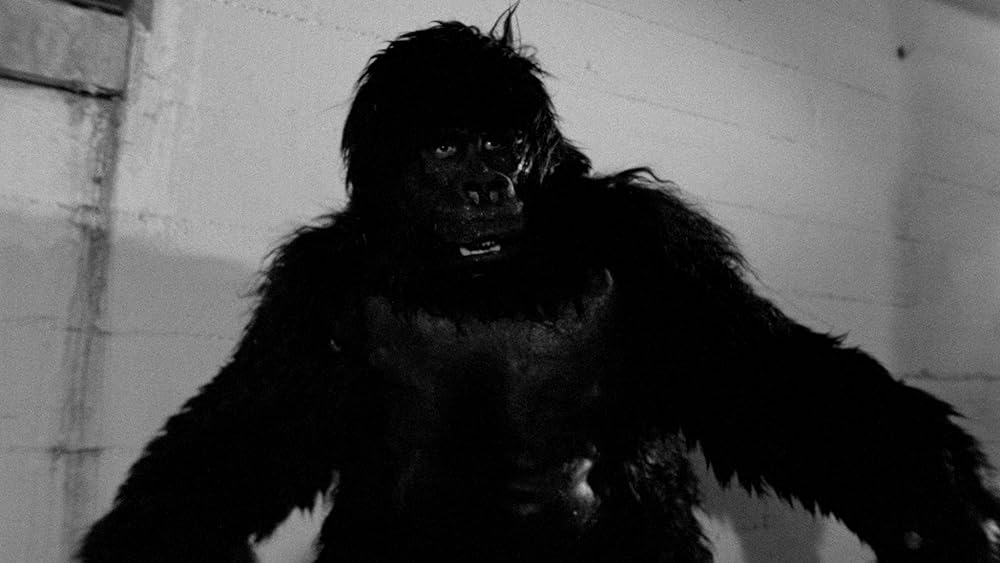 ゾンビッド ティーンエイジ・ゾンビの恐怖の画像