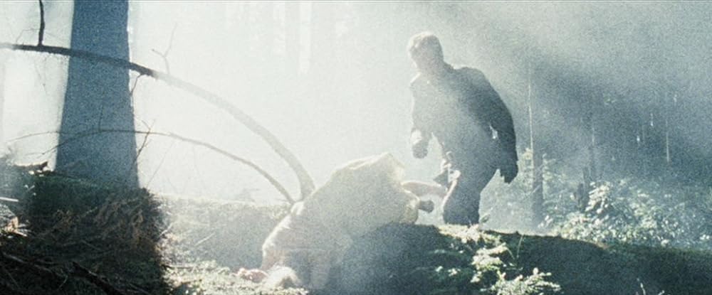 デス・ロード 染血の画像