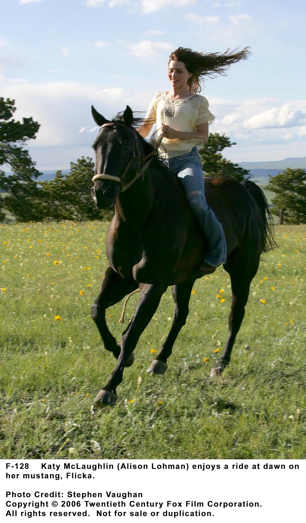 マイ・フレンド・フリッカの画像