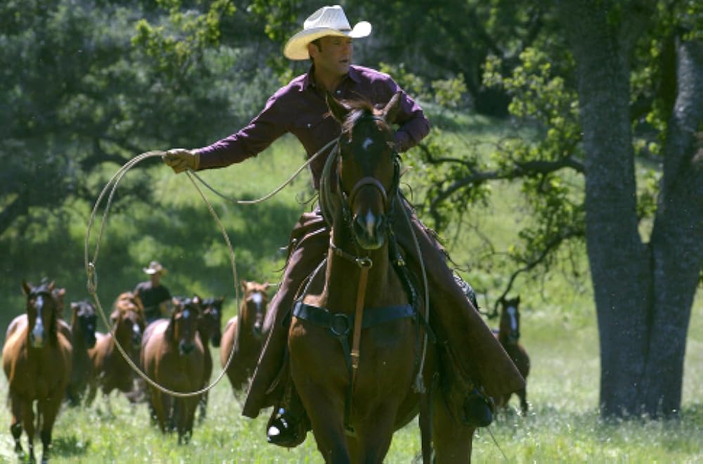 マイ・フレンド・フリッカの画像