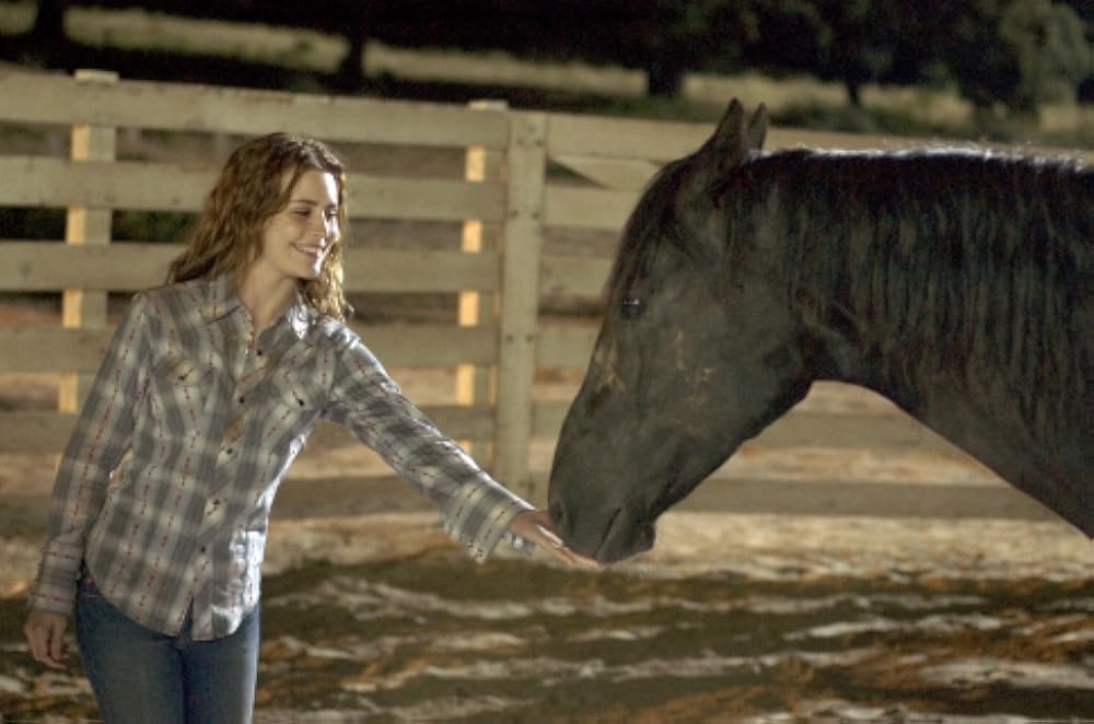 マイ・フレンド・フリッカの画像