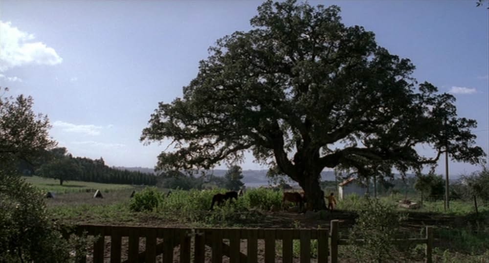 FOUR NIGHTS -４夜-の画像