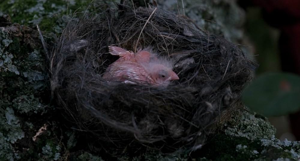 FOUR NIGHTS -４夜-の画像