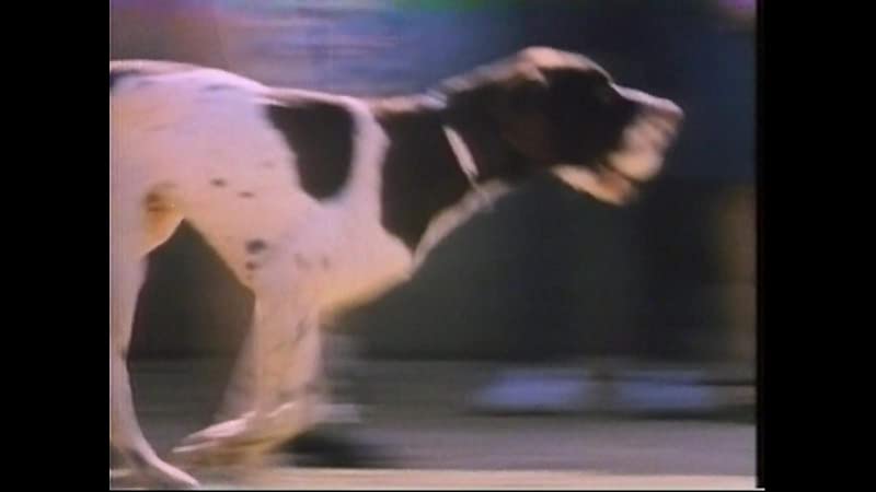 瀬戸内少年野球団の画像