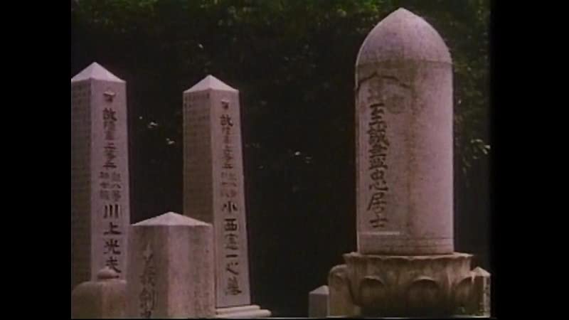 瀬戸内少年野球団の画像