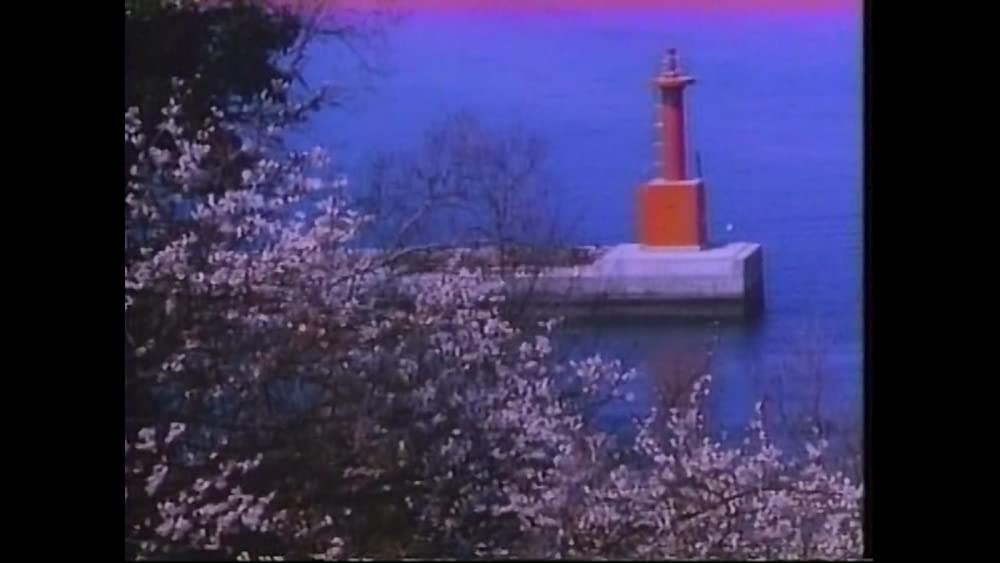 瀬戸内少年野球団の画像