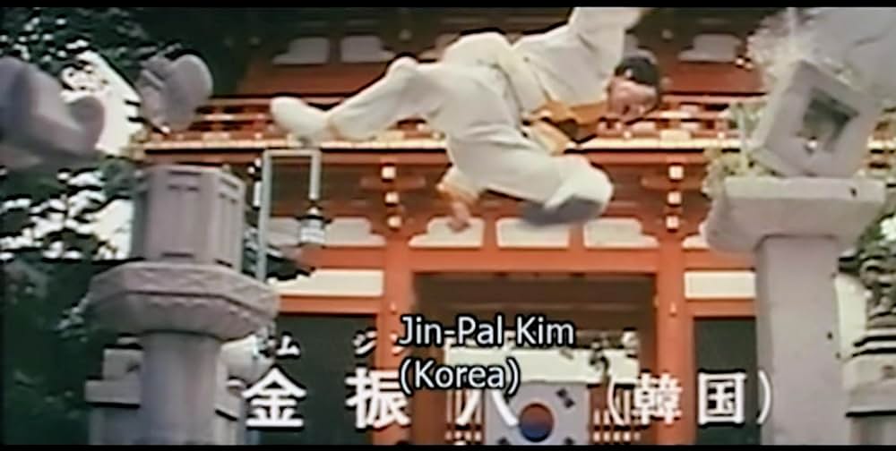 ザ・カラテ2の画像