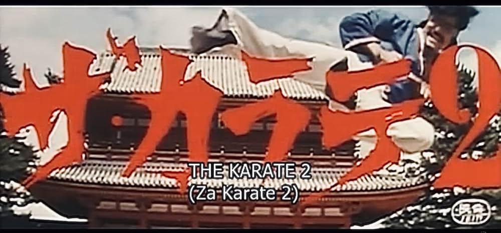 「ザ・カラテ2」の画像