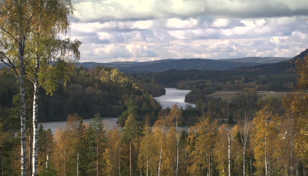 サラバンドの画像