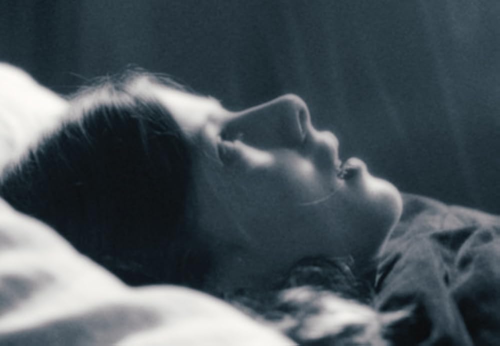 アメリカン・ホーンティングの画像