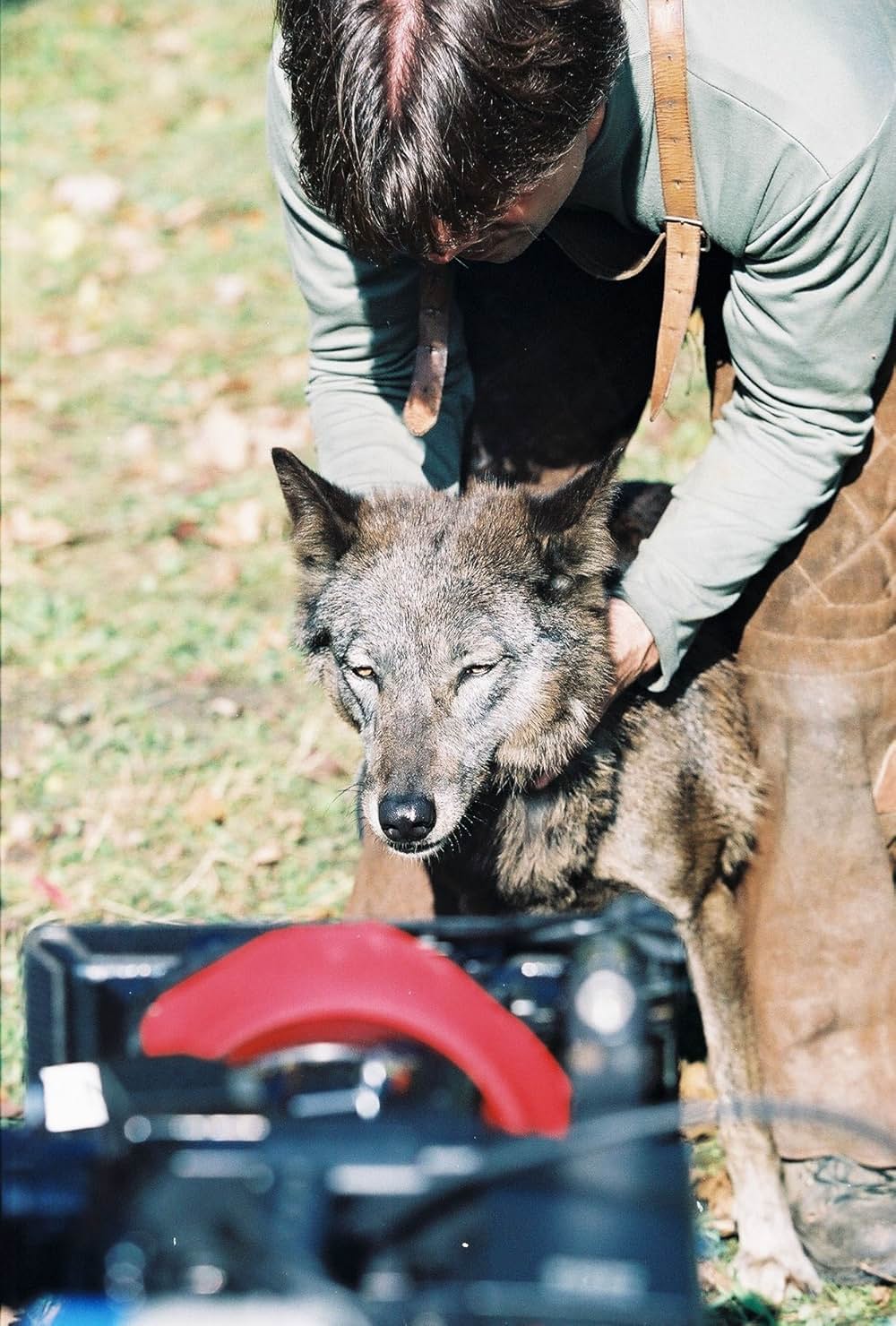 アメリカン・ホーンティングの画像
