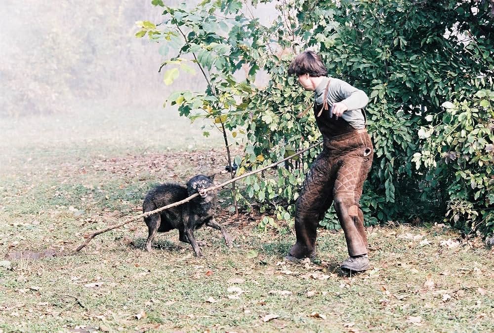 アメリカン・ホーンティングの画像
