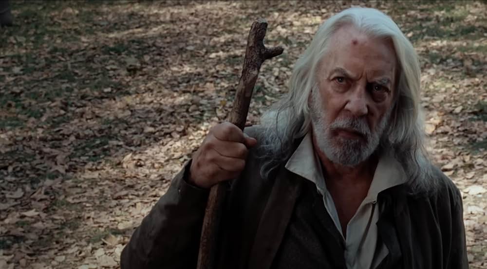 アメリカン・ホーンティングの画像