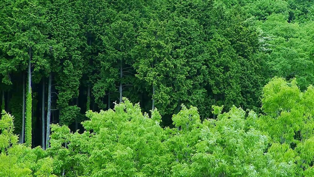 王様ゲームの画像