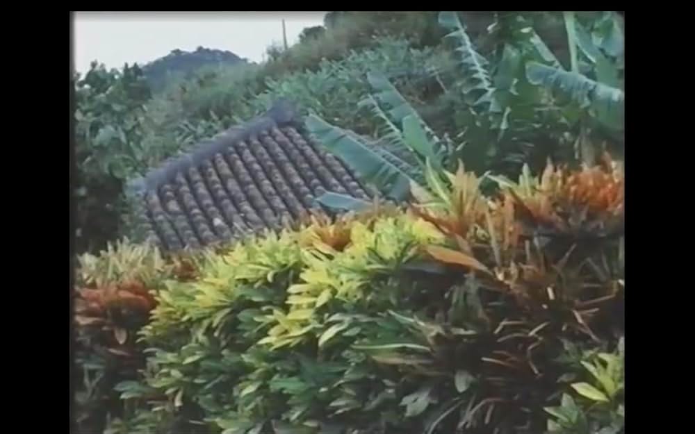 飛鳥へ そしてまだ見ぬ子への画像