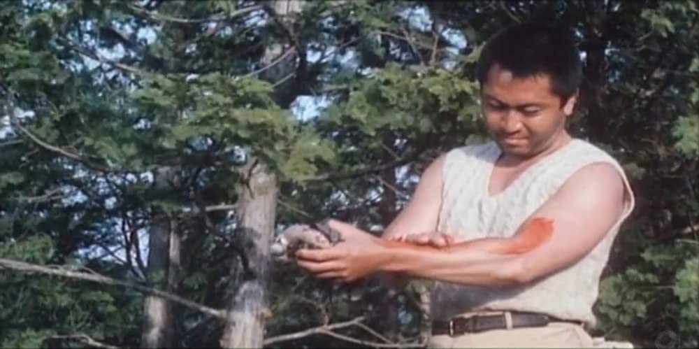 火まつりの画像