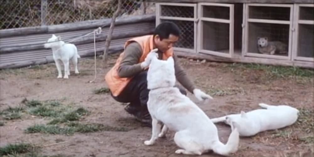 火まつりの画像