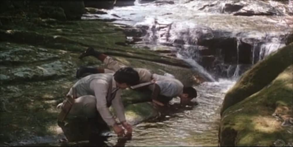 火まつりの画像