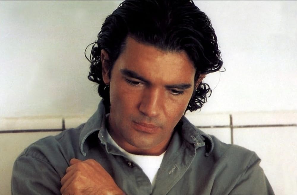 愛の奴隷の画像