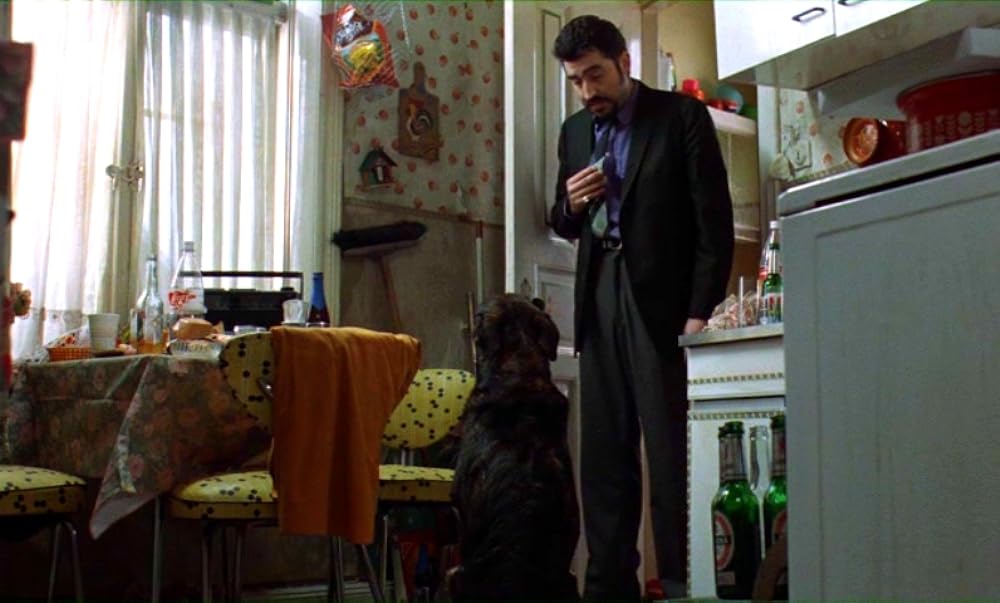 豚が飛ぶときの画像