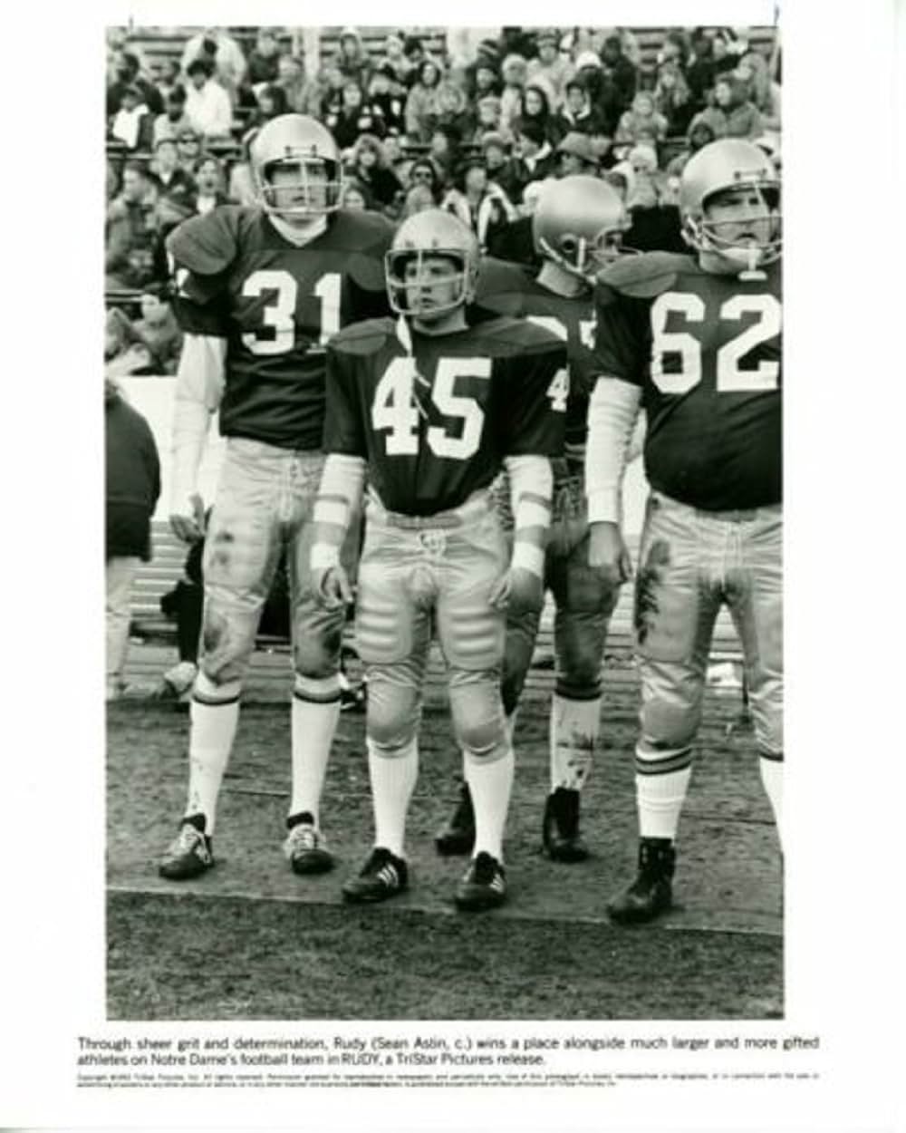 ルディ／涙のウイニング・ランの画像