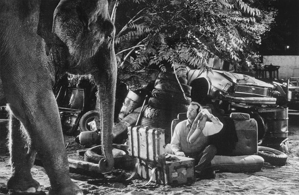 小さな贈りものの画像