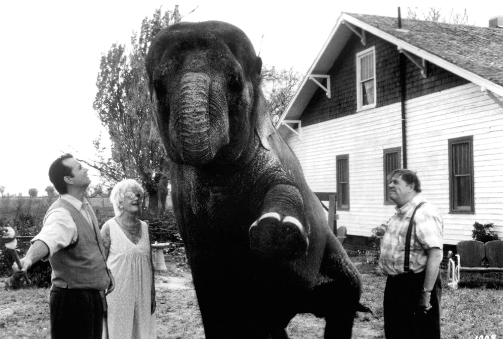 小さな贈りものの画像