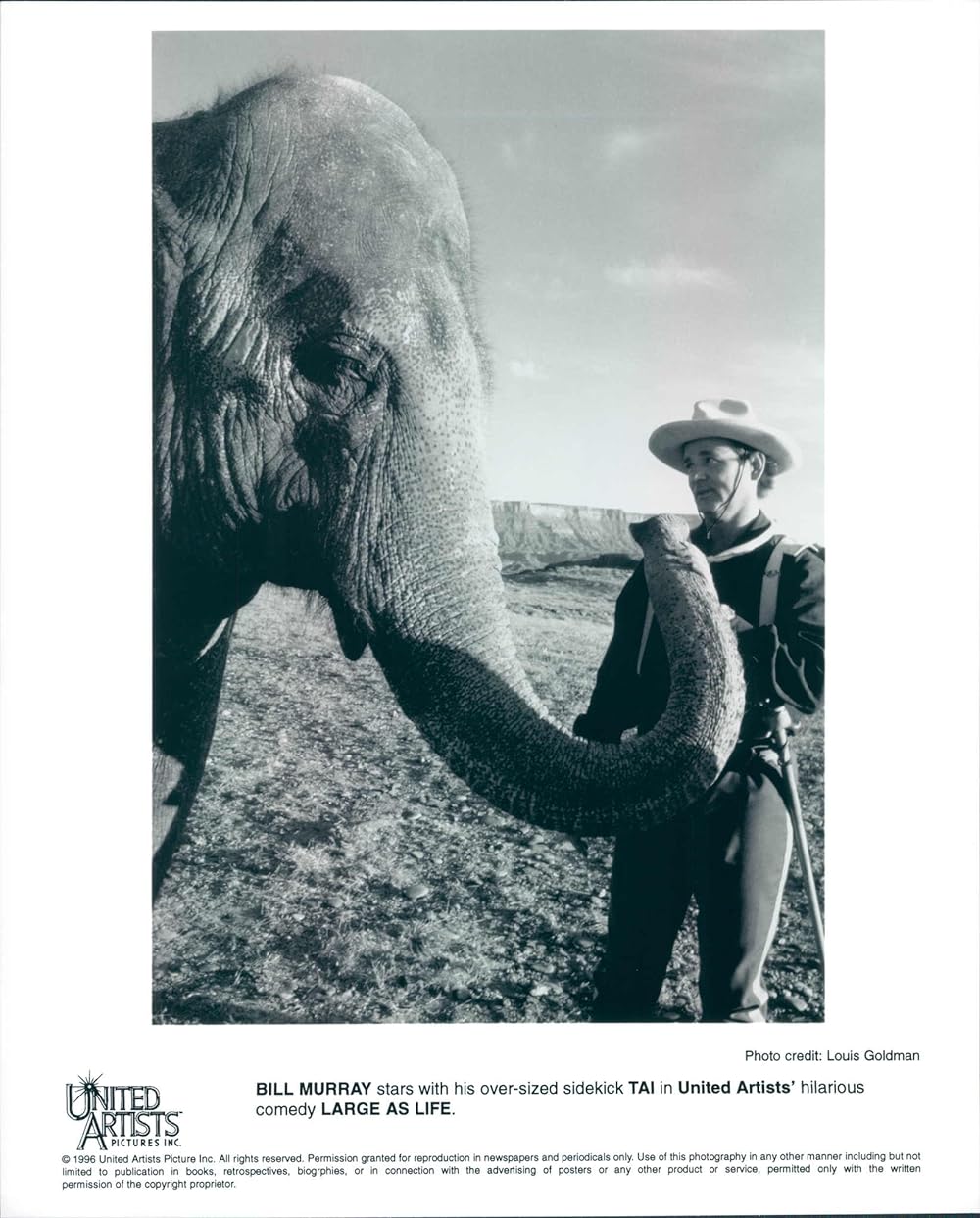 小さな贈りものの画像