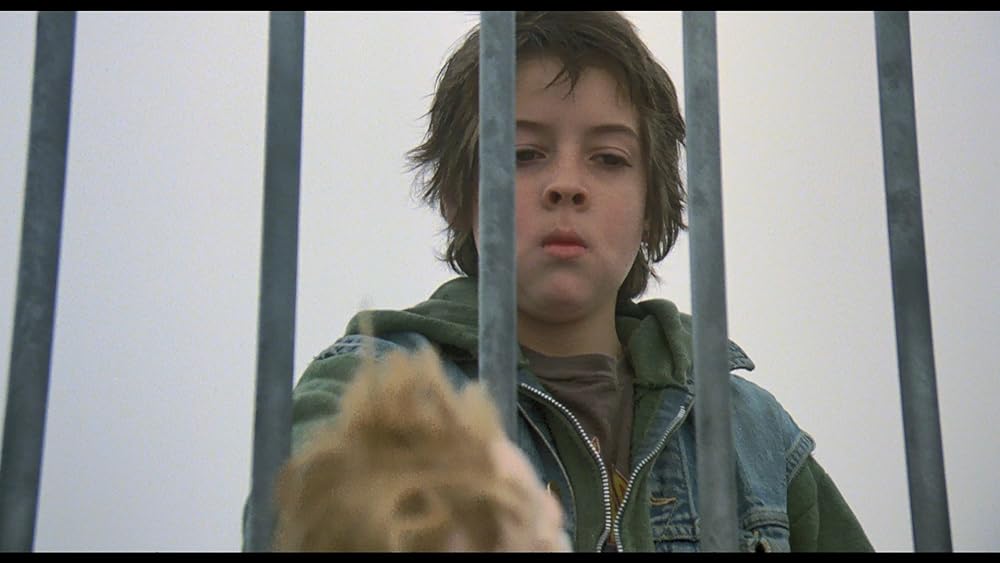 リバース・エッジの画像