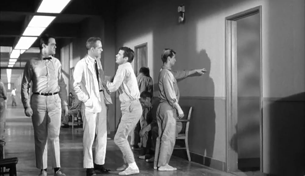 ショック集団の画像