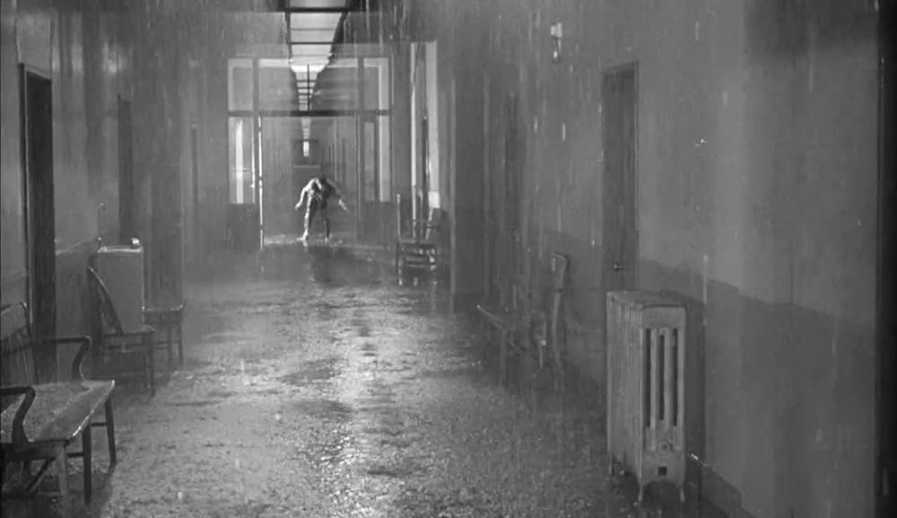 ショック集団の画像