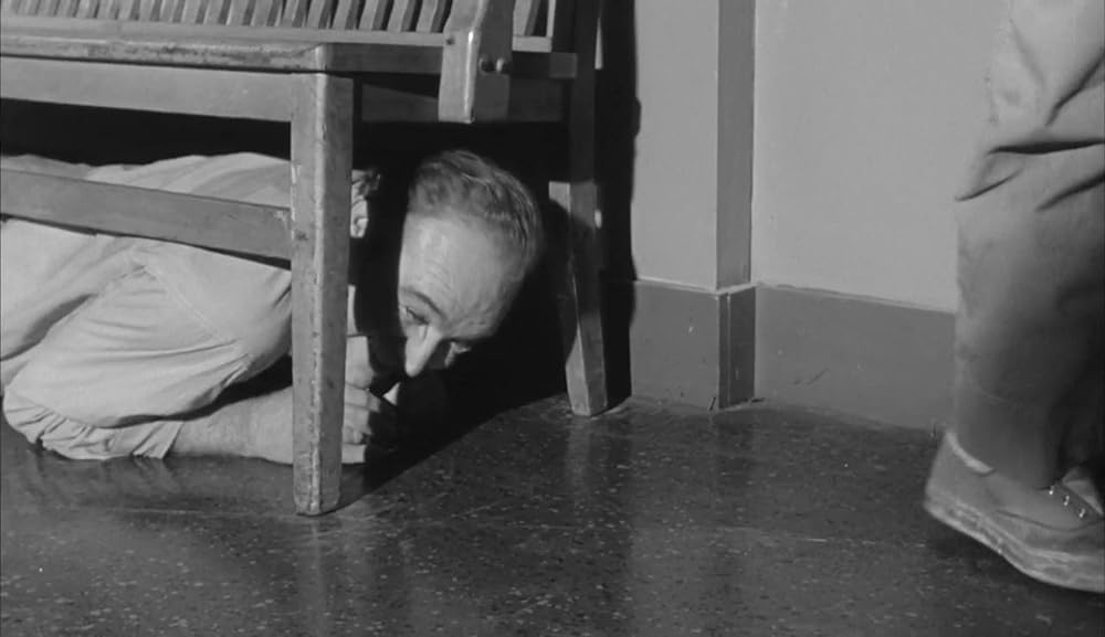 ショック集団の画像