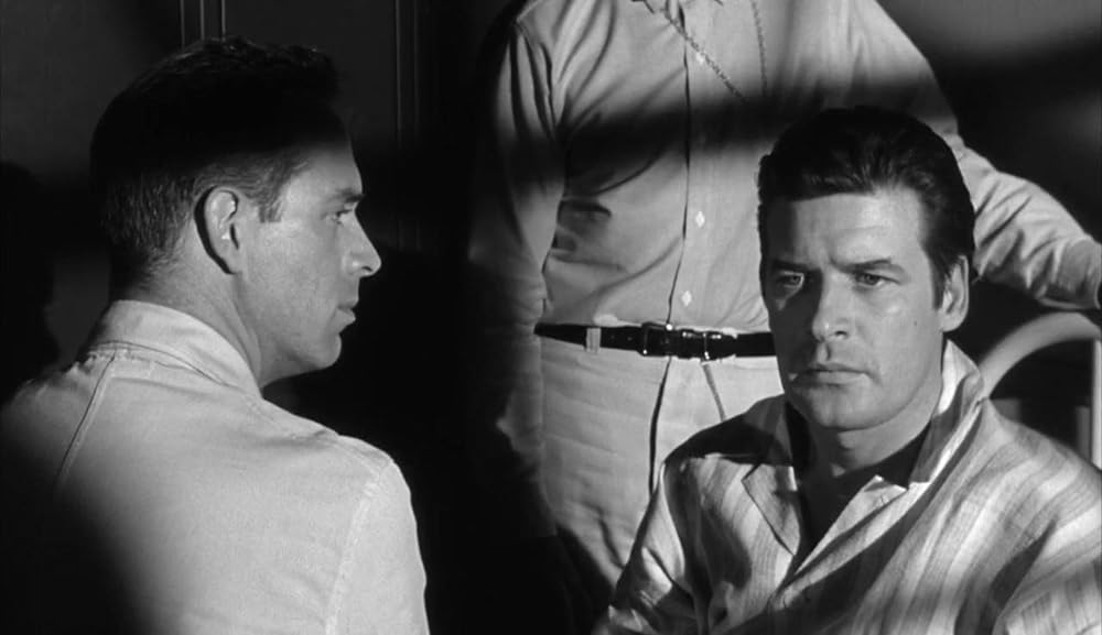 ショック集団の画像