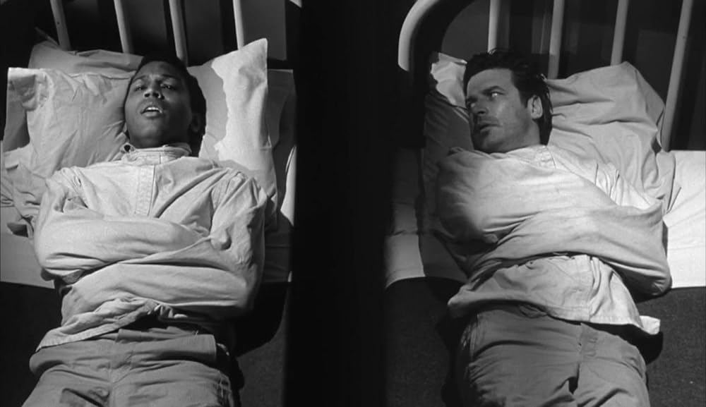 ショック集団の画像