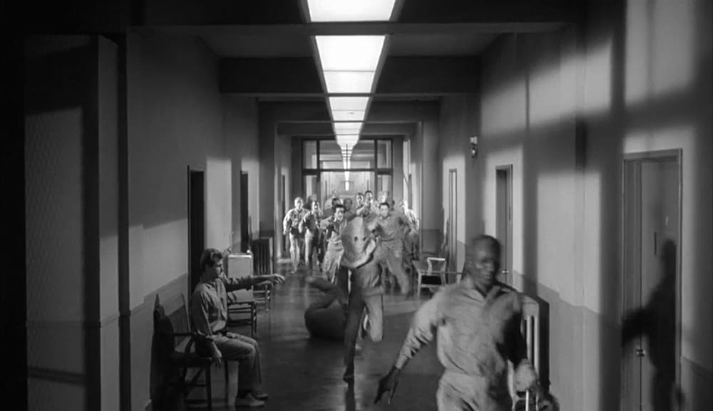 ショック集団の画像