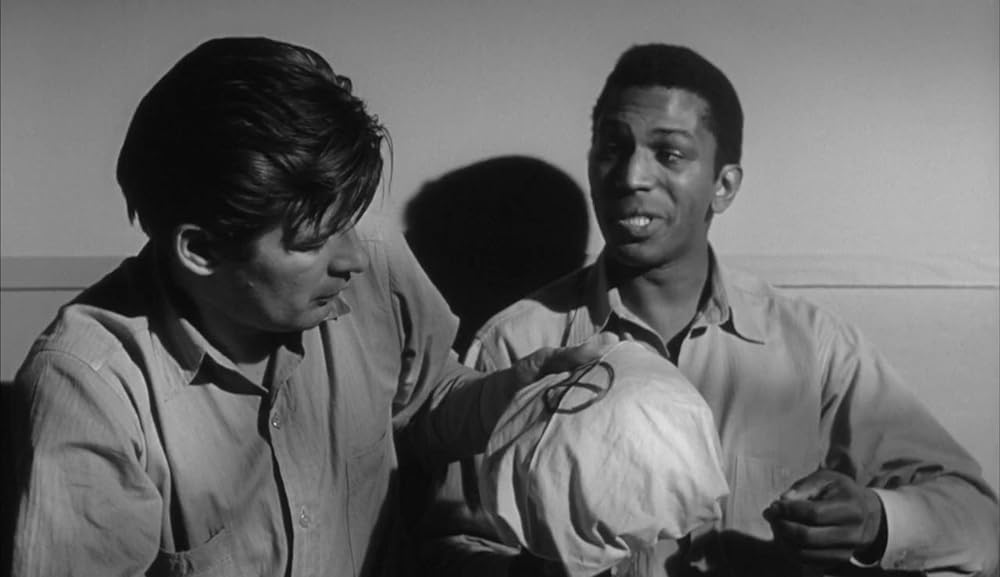 ショック集団の画像